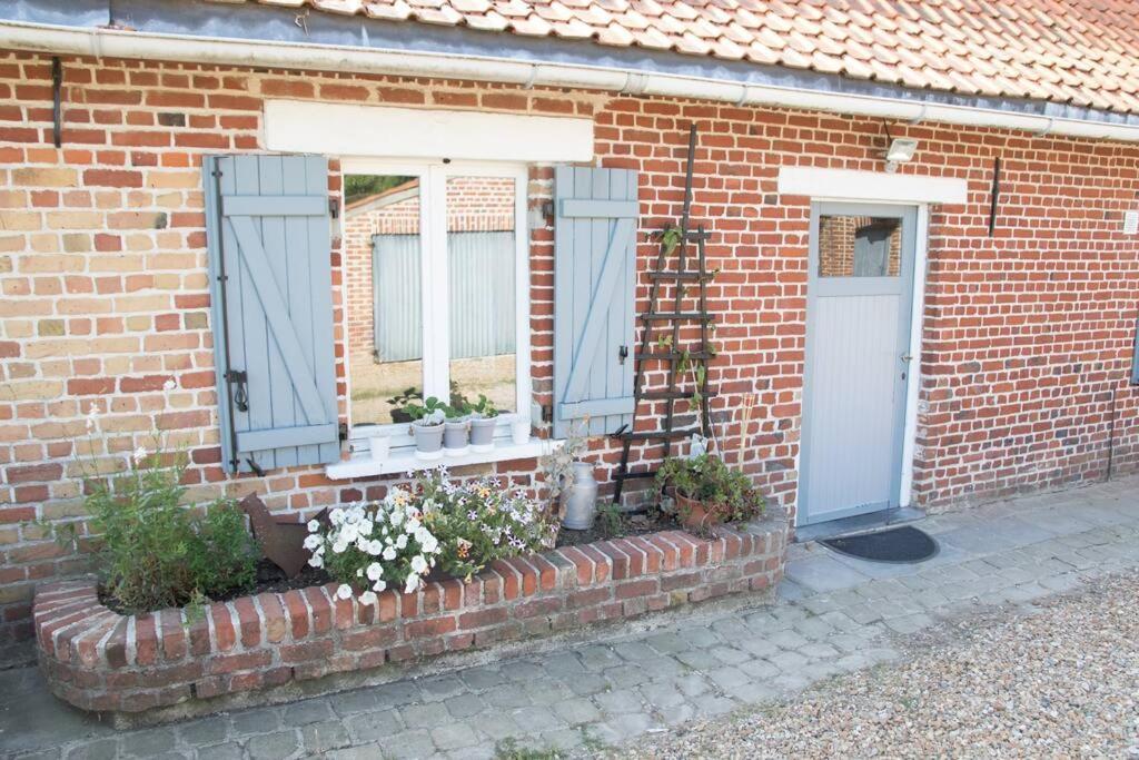 Cottage Chaleureux Au Coeur Des Monts De Flandres Saint-Jans-Cappel Eksteriør bilde