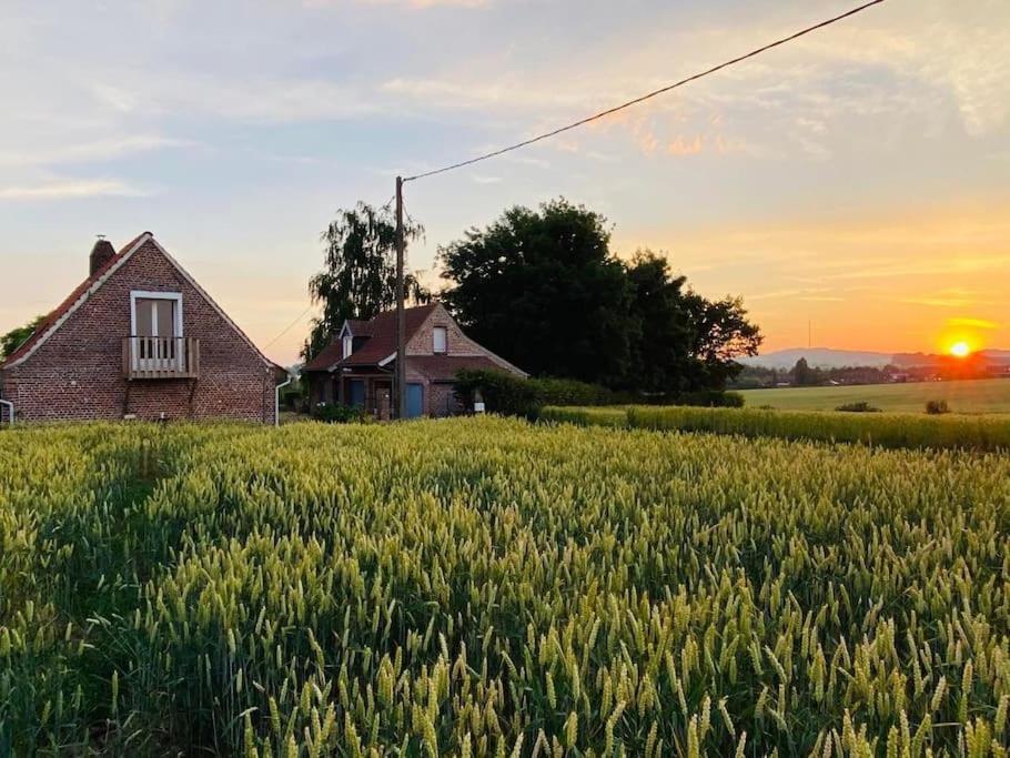 Cottage Chaleureux Au Coeur Des Monts De Flandres Saint-Jans-Cappel Eksteriør bilde
